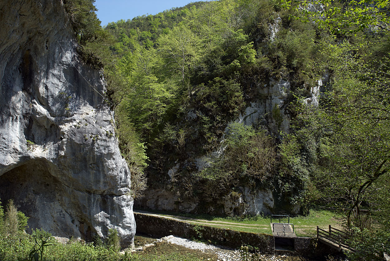Gourgue d’Asque Alain Pitton
